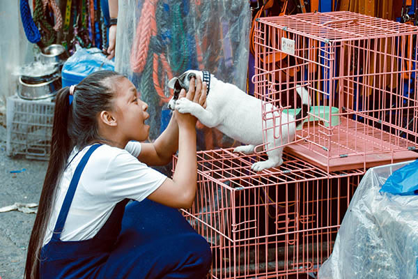 Ventajas de tener una Pet Shop!— Pet Markt Mexico