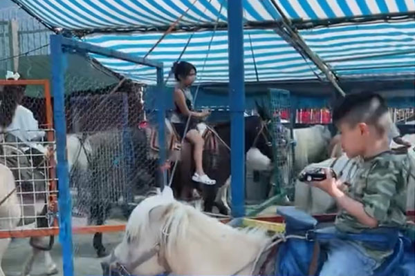 granjita-de-animales-paseos-ponny granjita para niños y paseos en Pony Los Angeles
